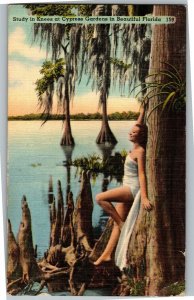 Study in Knees at Cypress Gardens FL Linen c1949 Vintage Postcard G26
