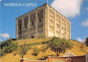 BT18322 norwich castle  uk
