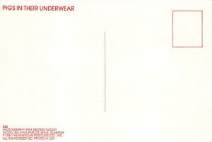 Pigs In Their Underwear Postcard
