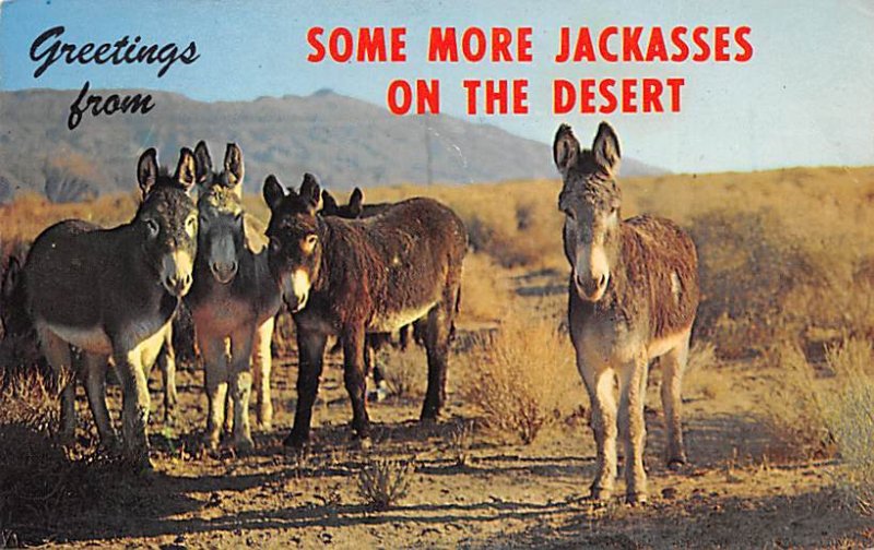 On the Desert California, USA Donkey 1967 