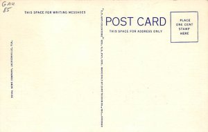 St John's River From the Air  Jacksonville FL