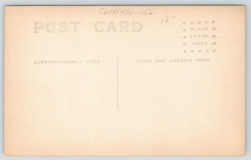 Northumberland County~Warrior Run Pennsylvania~Dreisebaugh Dam~c1910 RPPC