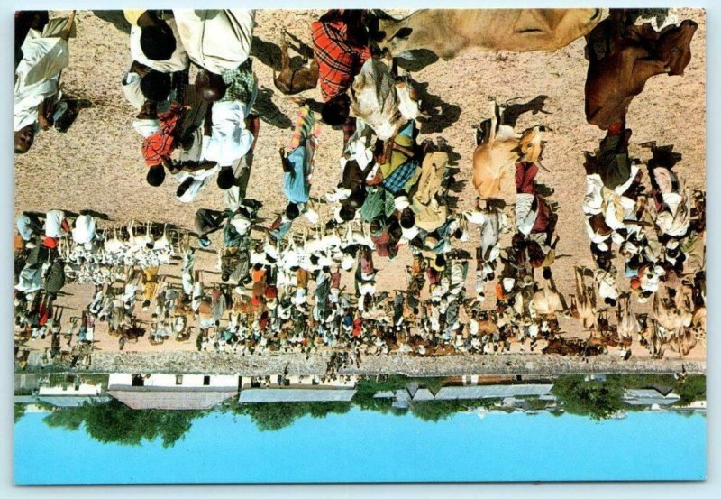 MOGADISHU, SOMALIA Africa  ~ Crowded LIVESTOCK MARKET Cows Goats 4x6 Postcard