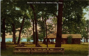 Section of Picnic Area Reelfoot Lake Tennessee Postcard PC237/2