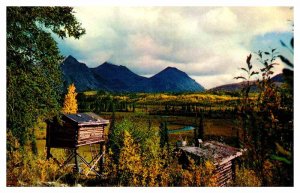 Postcard BUILDING SCENE Tok Alaska AK AT4532