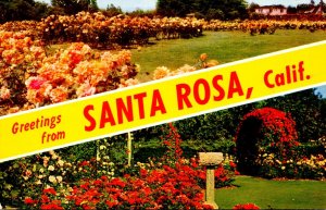 California Greetings From Santa Rosa Showing Luther Burbank's Gardens