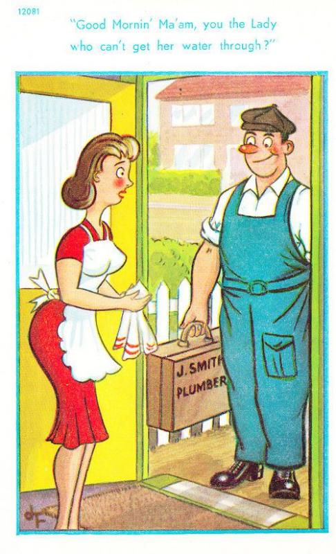 Plumber Lady Needs Tap Water Maid Apron Uniform Old Sexy Humour Seaside Postcard Worldwide 6464