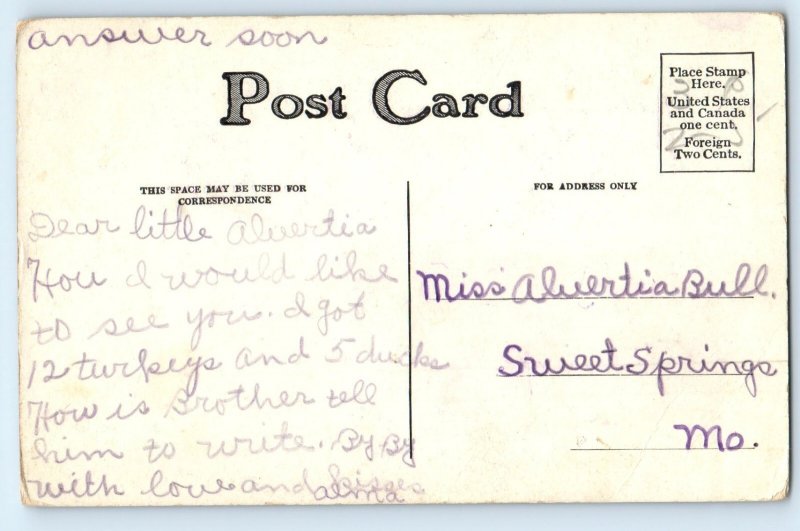 c1910's Setter And Pointer Hunting Dog Scene Field Sweet Springs MO Postcard