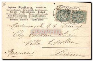 Old Postcard Dogs Dog