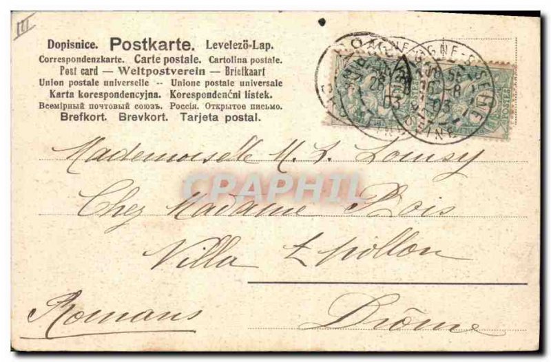 Old Postcard Dogs Dog