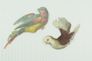 1880's Lovely Die Cut Victorian Colorful Birds Lot of 12 PD238