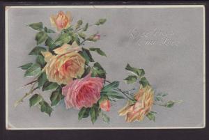 Greetings to My Love,Roses Postcard