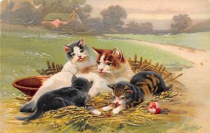 Cats Playing Cat 1910 