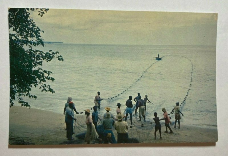 UNUSED POSTCARD - PULLING IN FISHING NET GREAT COURLAND BAY TOBAGO (KK3161) 