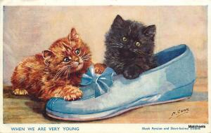 1958 Artist impression Two cute kittens playing on shoe J Salmon postcard 7670