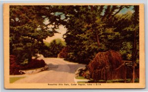 Cedar Rapids Iowa~Road Through Ellis Park~Vintage Linen Postcard