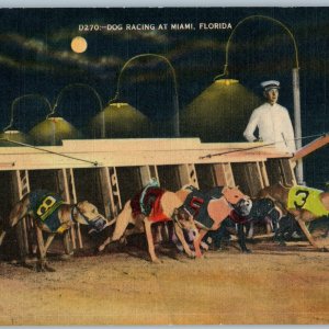 c1940s Miami, FL Dog Racing Greyhound Races Linen Postcard Night Dade Co A190