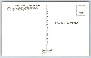 Banner Greetings From Iowa~Tractor w/Giant Corn~Cattle~Cornfield~1950s Postcard