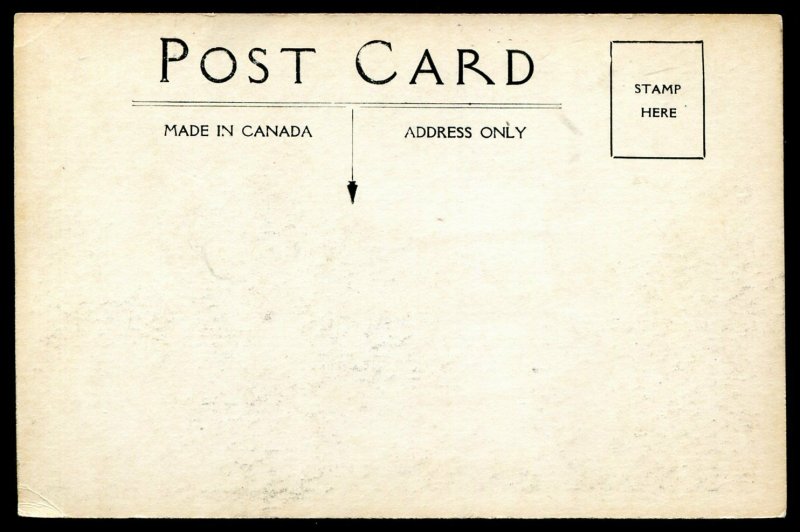 h3964 - PERTH Ontario Postcard 1910s Tay River Bridge