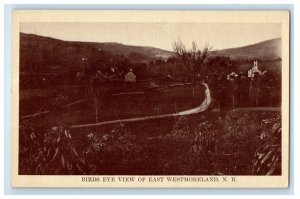 c1910's Bird's Eye View Of East Westmoreland New Hampshire NH Antique Postcard 