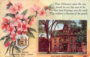 Peach Blossom State Flower Delaware, USA State Capitol 1910 