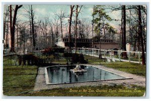 Scene At The Zoo Overton Park Memphis Tennessee TN Vintage Unposted Postcard 