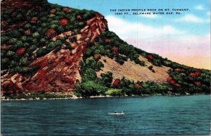 Indian Profile Rock Mt Tammany Delaware Water Gap PA Pennsylvania Linen Postcard 