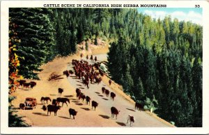 Vtg California CA Cattle Scene in High Sierra Mountains Ranchers View Postcard