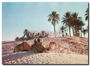 Postcard Modern Southern Tunisia