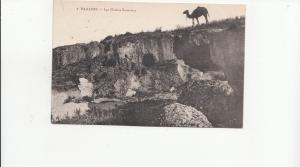 B80638 baalbek les grottes romaines camel  liban lebanon front/back image