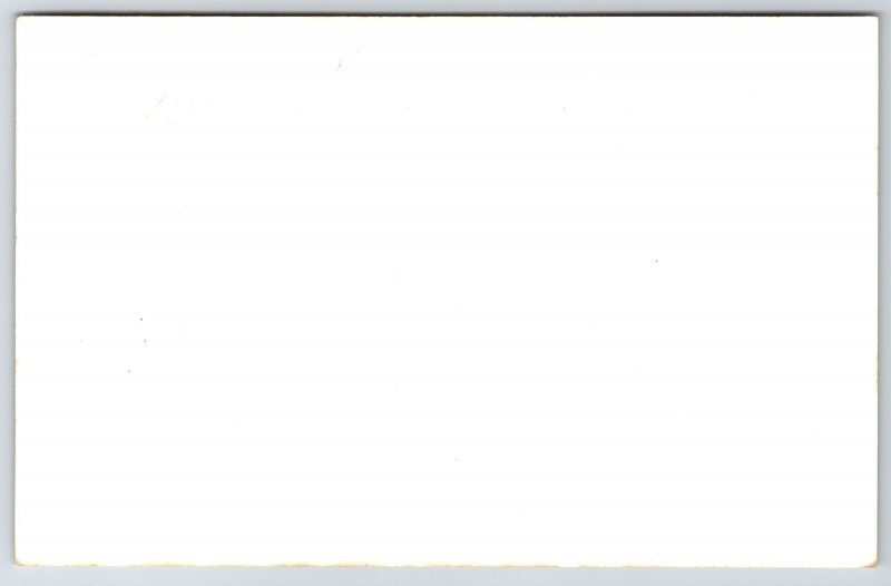 Bisbee AZ Neighborhoods~Castle Rock~SAC Mining Pit~Downtown~RPPC 1940s Postcard*