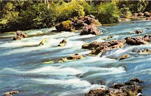 Rocks and Rapids - Tampa, Florida FL  