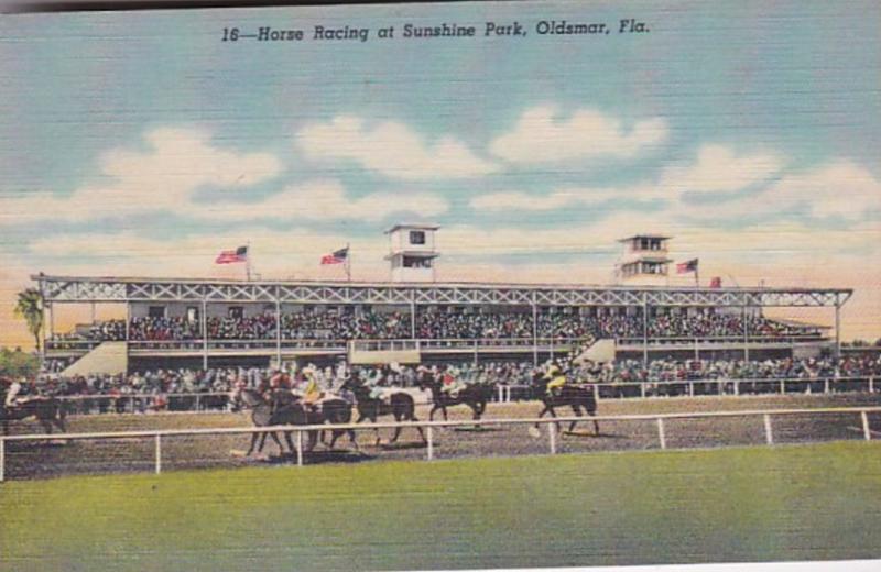 Florida Oldsmar Horse Racing At Sunshine Park 1949 Curteich