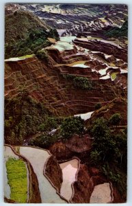 Philippines Postcard Terraced for Rice Growing Hills View c1950's Vintage