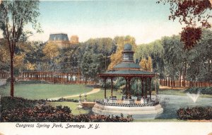 US New York Saratoga Congress Spring Park vintage postcard B949