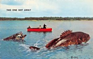 HARLOWE  ONTARIO CANADA-THIS ONE GOT AWAY-FISHING EXAGGERATION POSTCARD