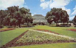 The Lincoln Park Conservatory Chicago, Illinois USA View Postcard Backing 