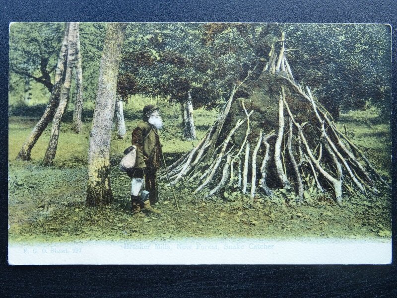 Hampshire Country Life BRUSHER MILLS New Forest Snake-Catcher - Old Postcard