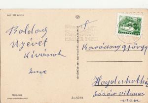 Hungary New Year pig greetings postcard