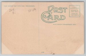 Blue Bridge Spanning Potomac Between Cumberland And Ridgeley WV Postcard W24