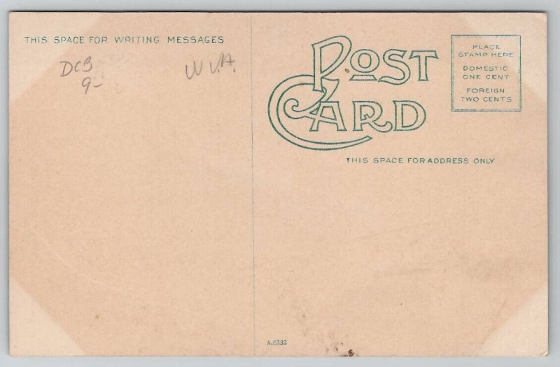 Blue Bridge Spanning Potomac Between Cumberland And Ridgeley WV Postcard W24