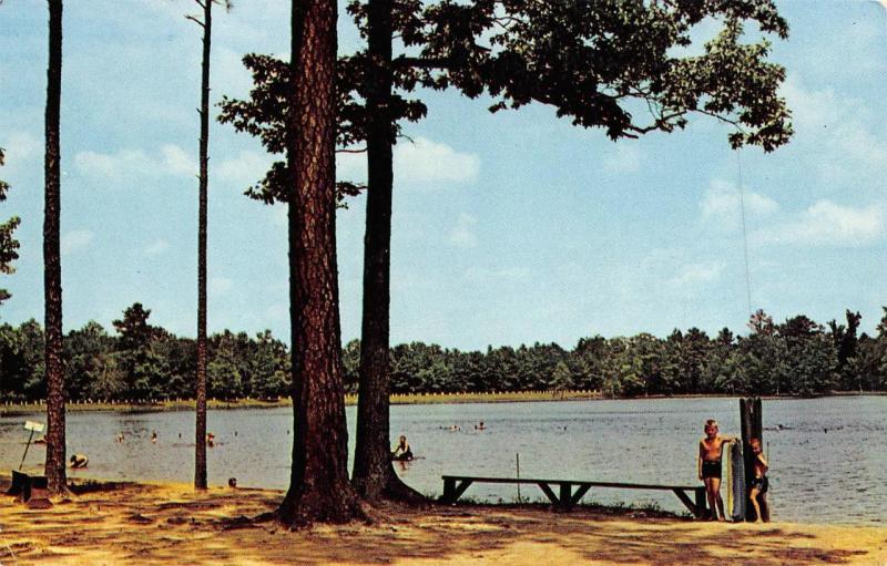 LAUREL, DE Delaware  TRAP POND~Boys Swimming  SUSSEX COUNTY  Roadside Postcard