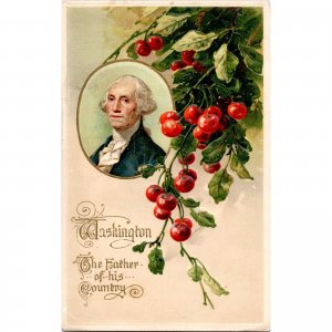 Original Vintage 1916 GEORGE WASHINGTON Postcard Embossed Cherry Tree