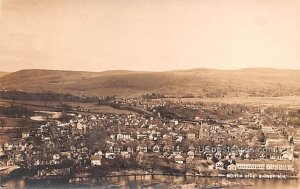 Birds Eye View - Sidney, New York NY Postcard