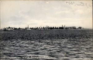 Bridgeport Connecticut Steeplechaser Island Amusements c1906 Vintage Postcard