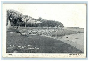 1907 View Of Sea Side Park The Boulevard Bridgeport Connecticut CT Postcard 