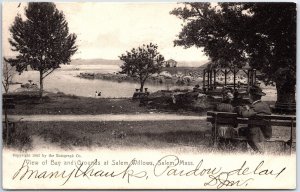 VINTAGE POSTCARD VIEW OF THE BAY & GROUNDS AT SALEM WILLOWS SALEM MASS 1907