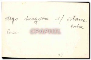 Old Postcard Corsica