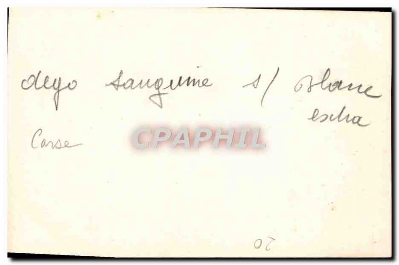 Old Postcard Corsica