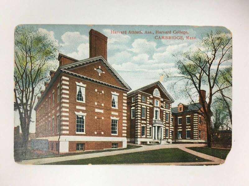 Harvard Athletic Association College Cambridge MA Postcard